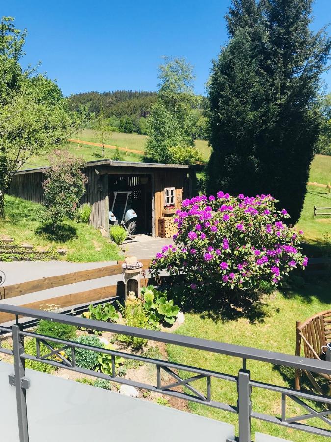 Ferienwohnung Kraehling Schmallenberg Eksteriør bilde
